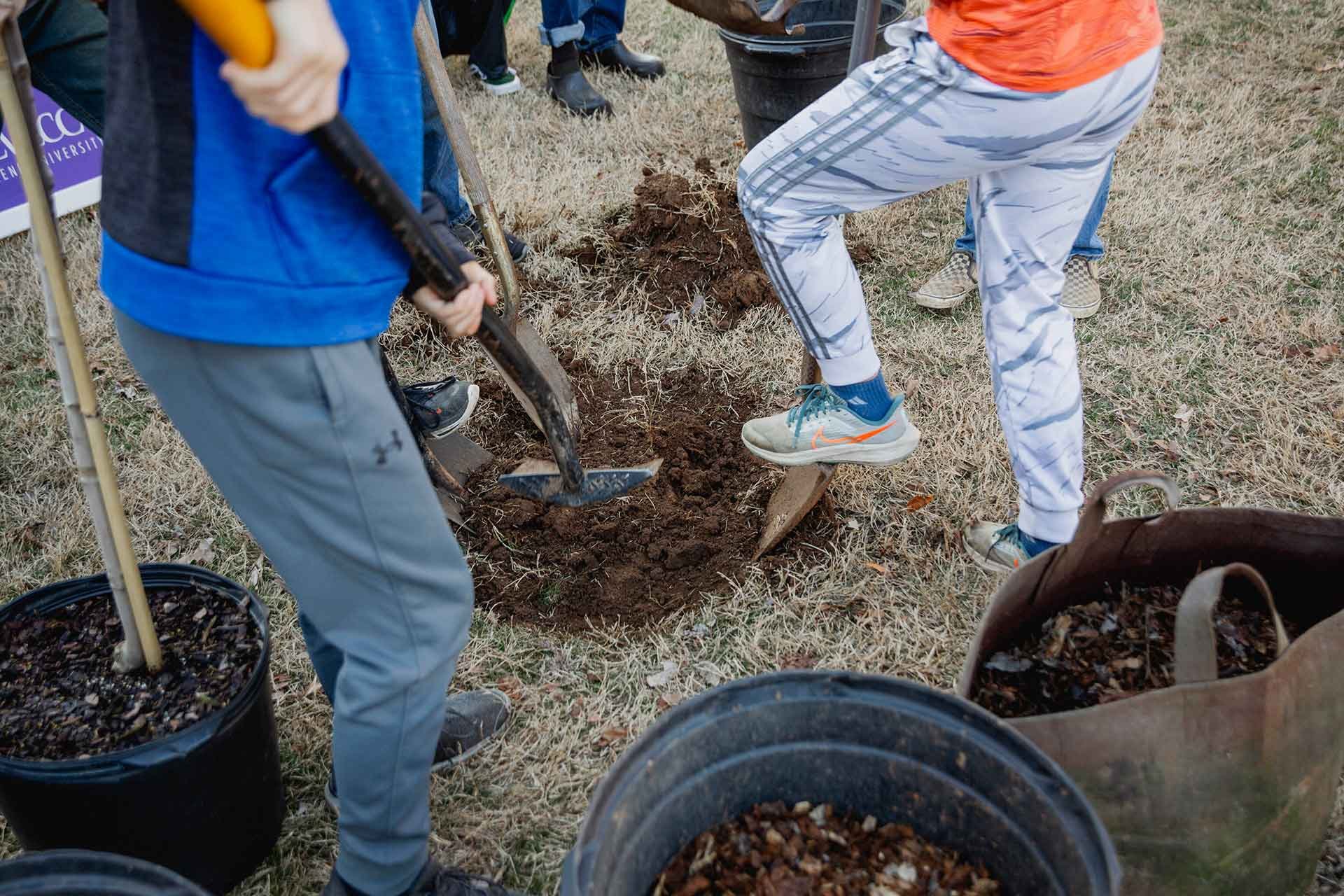 25-Blog-Photo-Posts_Tree-Planting