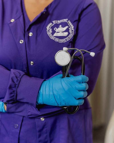 ACEN Accreditation Review Public Notice